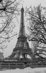 The black and white Eiffel tower with bare trees in winter, Paris, France.