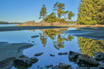 On the beach of Tofino, Vancouver Island, Canada