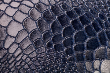 Crocodile leather blue skin pattern