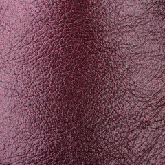 Lleather brown skin pattern