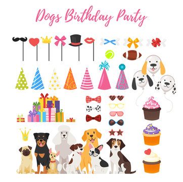 Dog party and Birthday elements