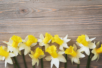 Daffodils flowers on wooden background 