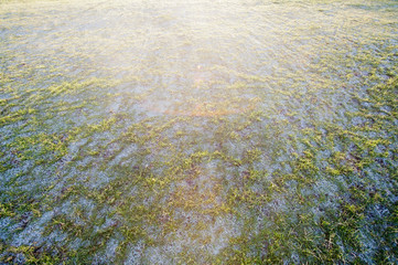 wide view of meadow in winter with sunlight and hoar frost