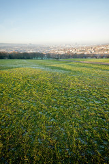 Fototapeta na wymiar panorama view from a park of Sheffield, England 