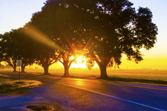 Louisiana Sunrise