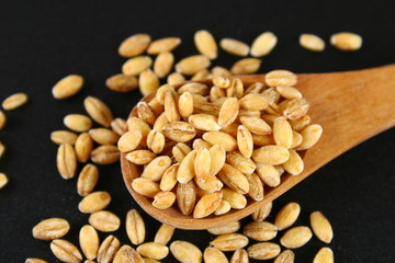Dry pearl barley in a wooden scoop on a black chalkboard.
