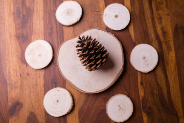 Wooden logs arranged in a circle with a pine cone in the middle