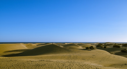 Obraz premium dunes