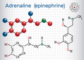 Adrenaline (epinephrine) molecule .  It is a hormone, neurotransmitter, and medication. Structural chemical formula and molecule model. Sheet of paper in a cage