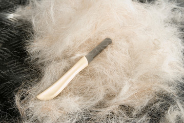 Trimmmesser und ausgekämmte Hundehaare beim Hundefriseur