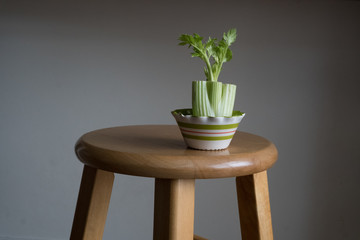 celery stalk on stool with white background