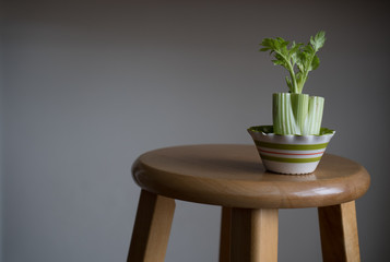 celery stalk on stool with white background