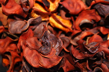 Potpourri