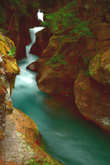 Fototapeta na wymiar Glacier water runs through red rock and fern-covered gorge