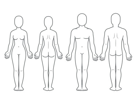 Human Body Outline Images – Browse 852,222 Stock Photos, Vectors, and Video