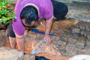 Fototapete bei efototapeten.de bestellen   