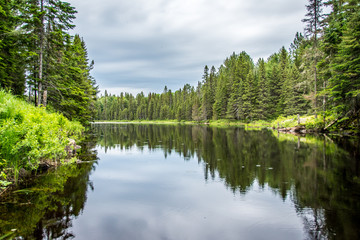 A calm river catching the reflection of the surrounding forest.