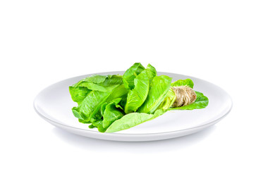 Salad cos in white plate on white background