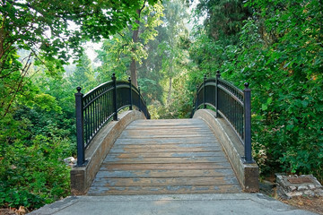 An arching foot bridge leading through a woodsy park.