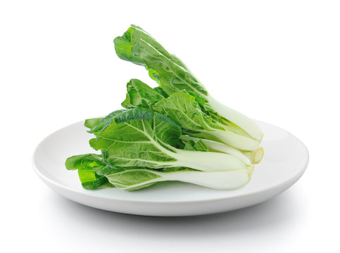 Pok Choi in plate isolated on a white background