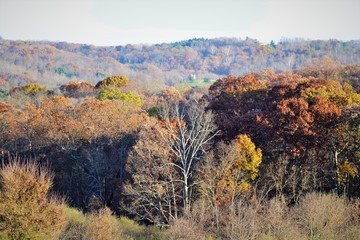 FALL DAYS 01