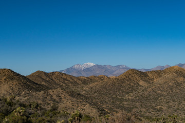 Winter in the Desert