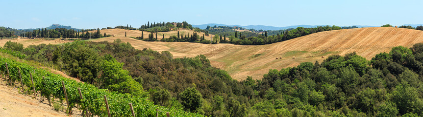 Fototapeta na wymiar Tuscany summer countryside, Italy