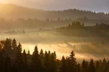 Fototapeta na wymiar First sunrise rays of sun in Carpathian mountains.