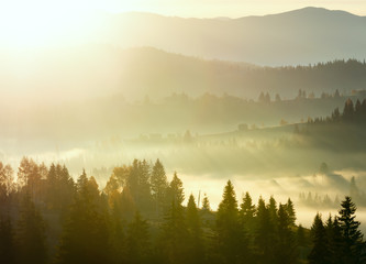 First sunrise rays of sun in Carpathian mountains.