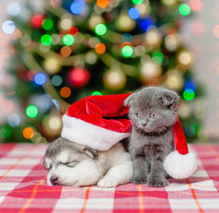 Fototapeta na wymiar Kitten and sleeping puppy in red christmas hat on a background of the Christmas tree
