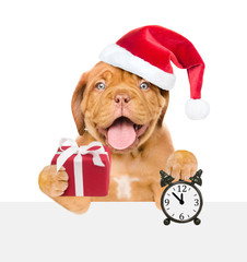 Happy puppy in red christmas hat with gift box and alarm clock above white banner. isolated on white background