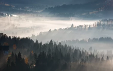 Abwaschbare Fototapete Wald im Nebel Erste Sonnenstrahlen des Sonnenaufgangs in den Karpaten.