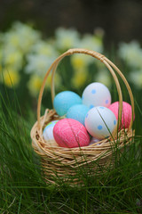 Easter concept.basket with Easter blue and pink eggs in green grass on  floral background. Easter mood	