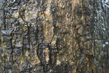 Background and texture