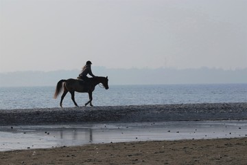 Reiterin mit Pferd am Strand am Meer, Ausritt, Strandritt, Reitsport