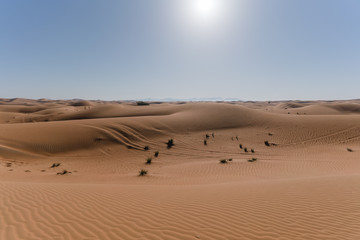 Fototapeta na wymiar Wüstenlandschaft mit Dünen und blauem Himmel