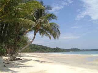 Tropical Beach scene in Thailand with white sand and palm trees, on a clear sunny day. 