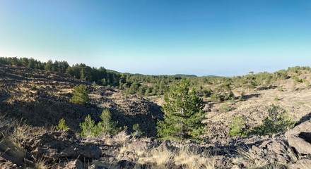 Galvarina Plateau In Etna Park, Sicily