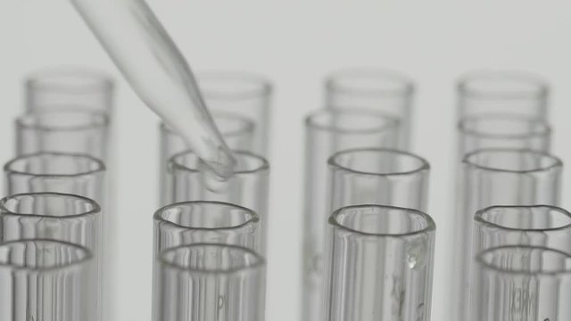 aboratory scientist working with a pipette analyzes and extract the DNA or molecules in the test tubes.on white background