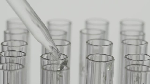 aboratory scientist working with a pipette analyzes and extract the DNA or molecules in the test tubes.on white background