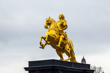 Obraz premium Golden horse 