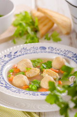 Fresh vegetable soup with chicken dumplings