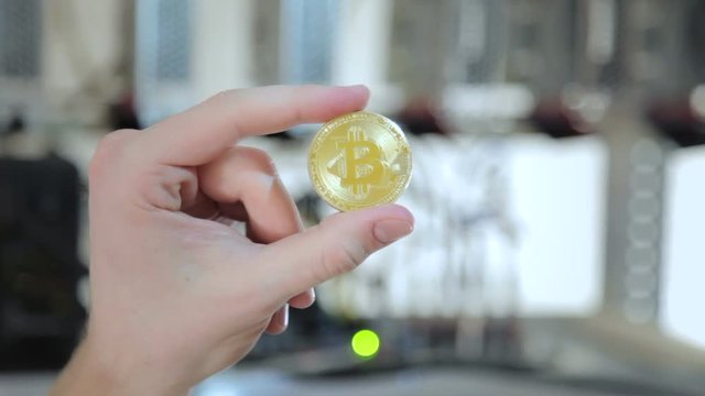 Crop shot of hand showing souvenir golden bitcoin working on mining farm.