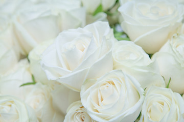 The beautiful white roses bouquet.