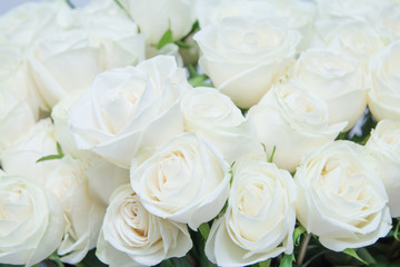 The beautiful white roses bouquet.
