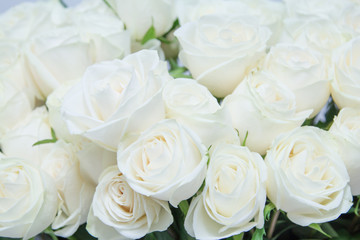 Fototapeta na wymiar The beautiful white roses bouquet.