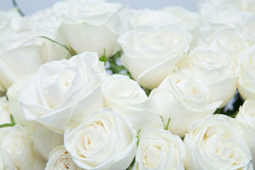 Obraz na płótnie Canvas The beautiful white roses bouquet.