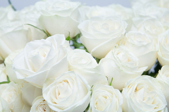 The beautiful white roses bouquet.