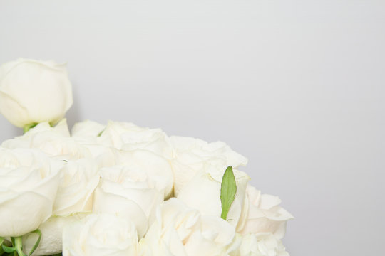 The beautiful white roses bouquet on isolate white background.