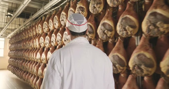 In a ham factory, a man in charge of quality control walks between the hams and controls, the perfume and the certified Italian quality. Concept of: tradition, Italy, food, ham